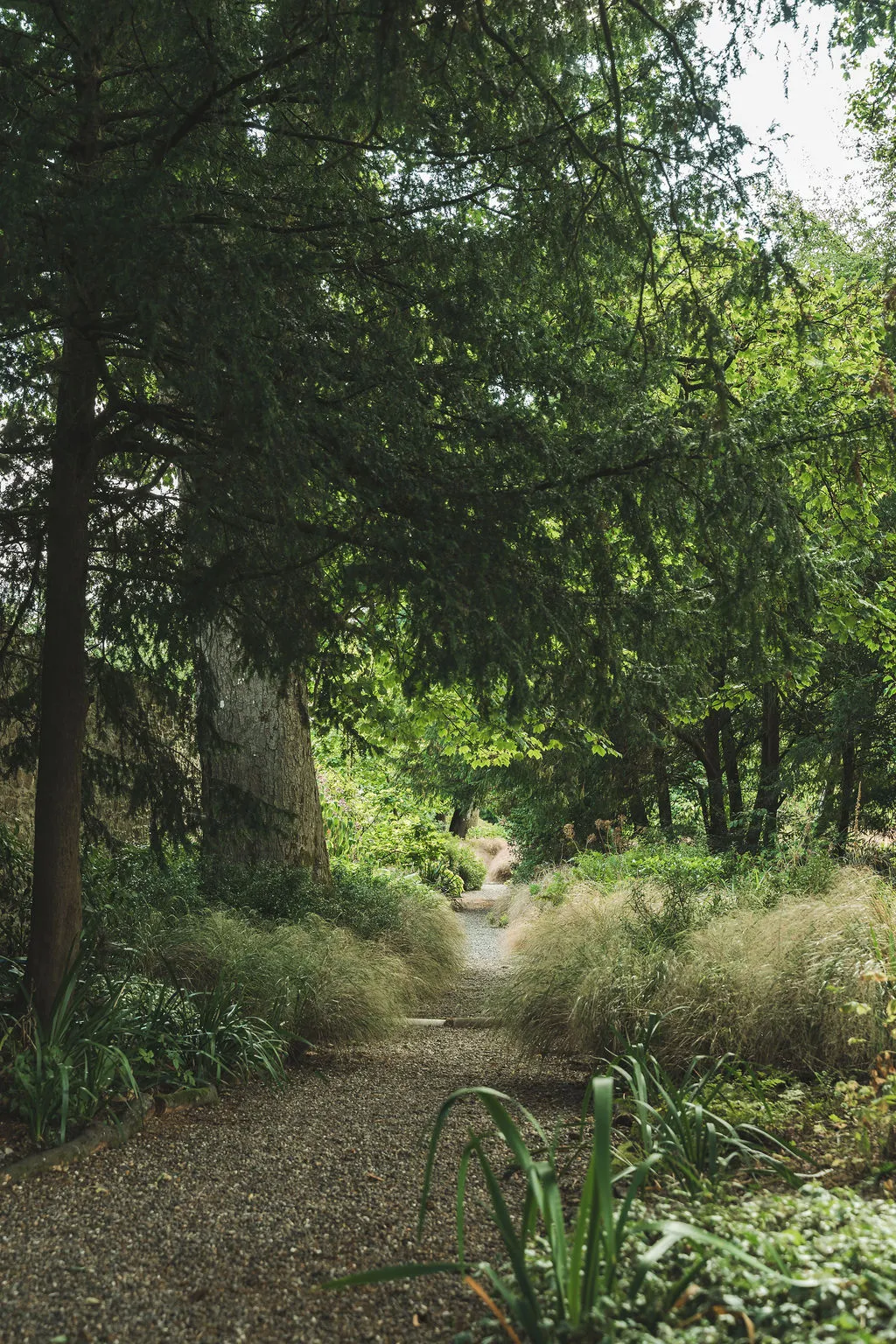 A woodland path through the estate